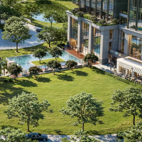 Feature image grass lawn 2x 600x600