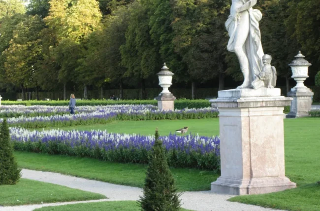 grass-lawn-image-3-2x